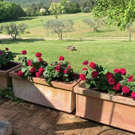 Rustic Tuscany 빌라 *